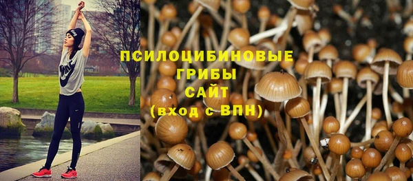 винт Алзамай
