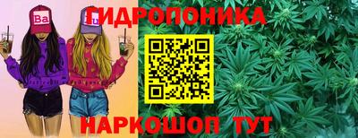 apvp Котовск