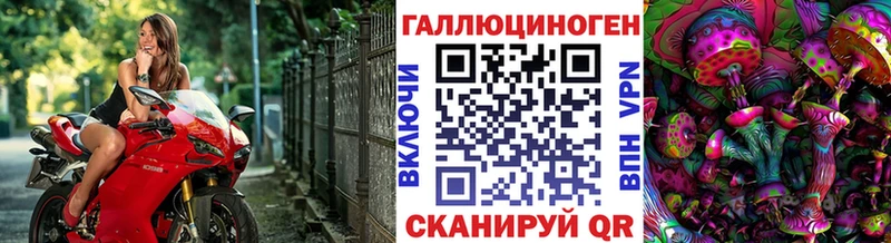 Галлюциногенные грибы Cubensis  Апатиты 
