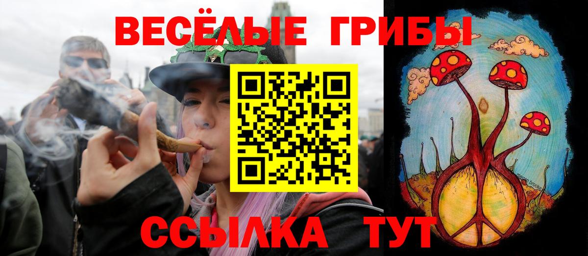 Галлюциногенные грибы Cubensis  Вход с VPN  что такое наркотик  Псилоцибиновые грибы мухоморы  Апатиты 